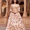 Aurora Organza Lehenga Set