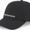 Essential Dad Cap